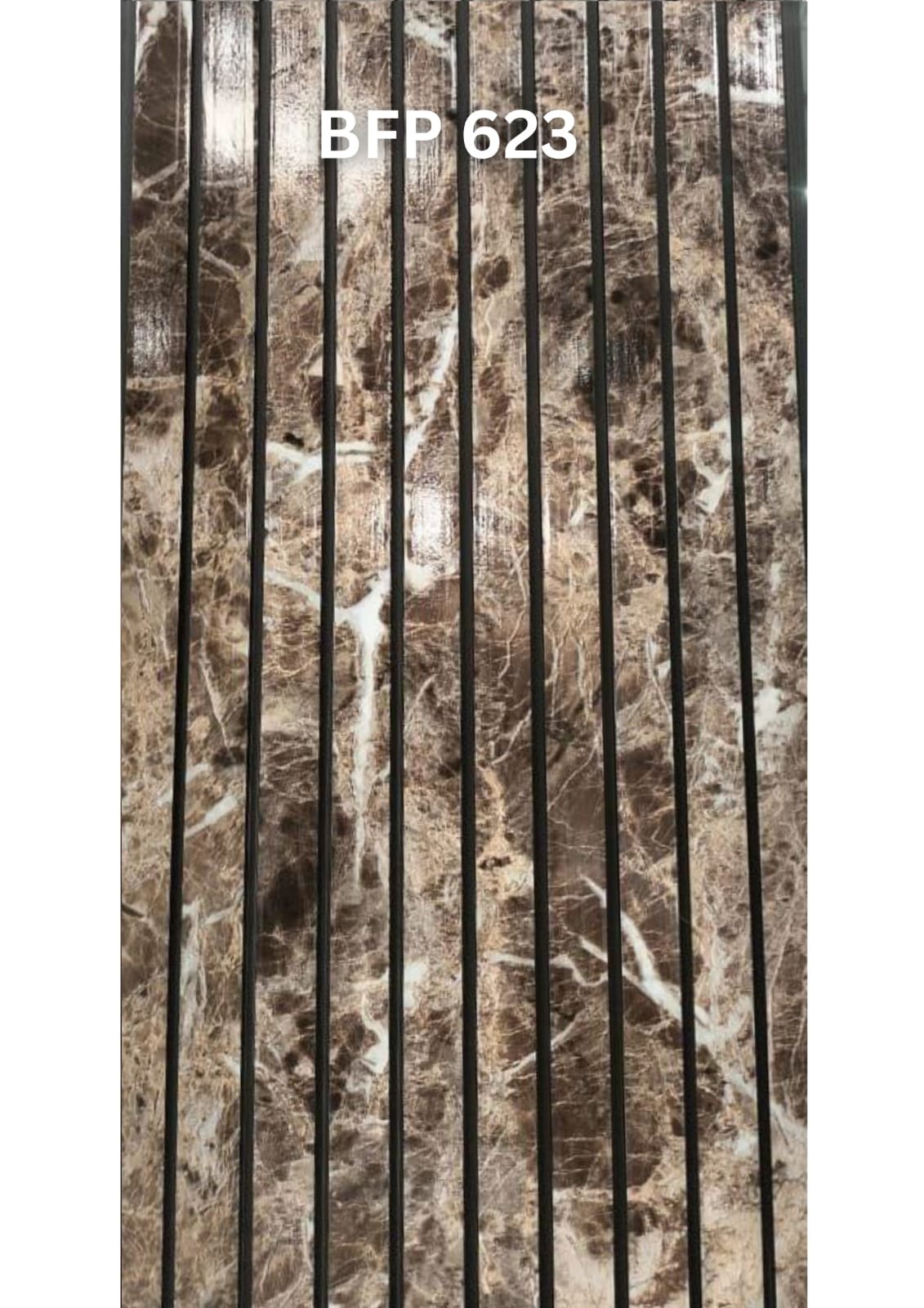 BFP-623