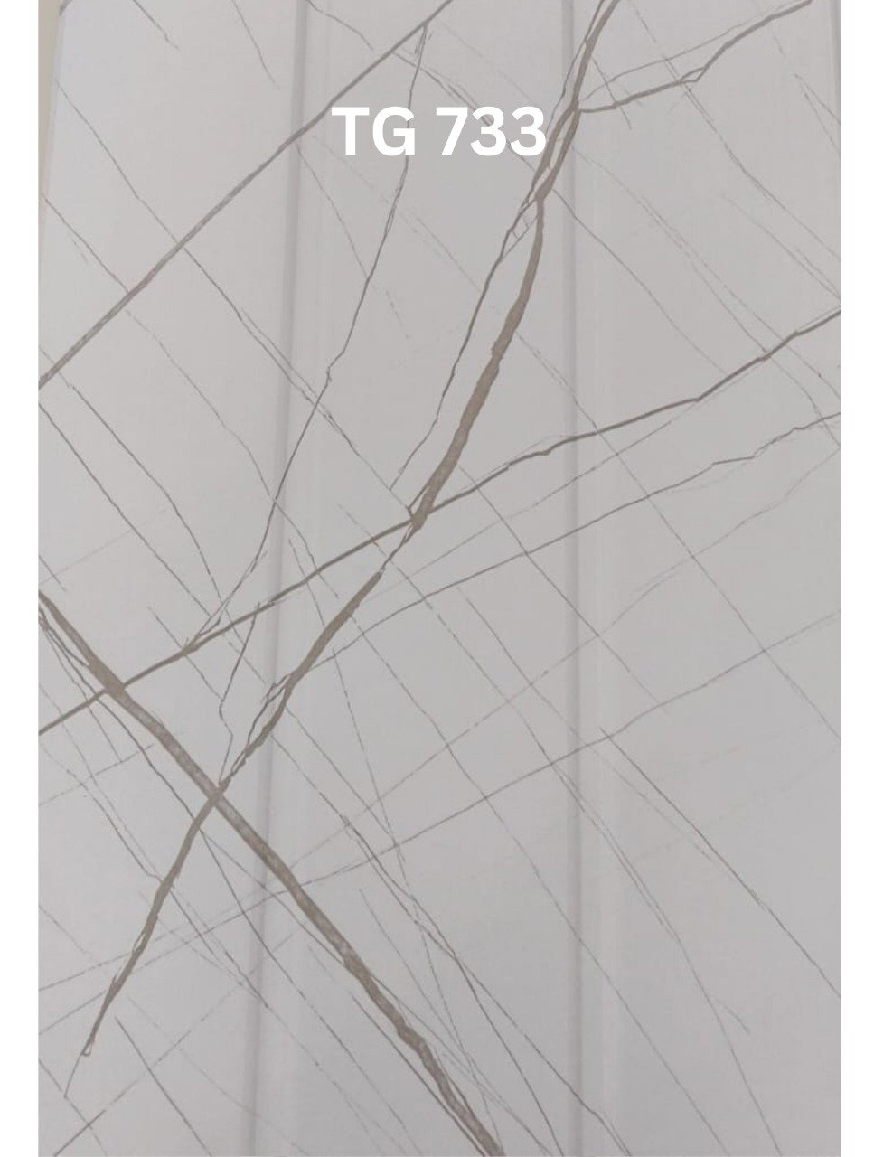 TG - 733