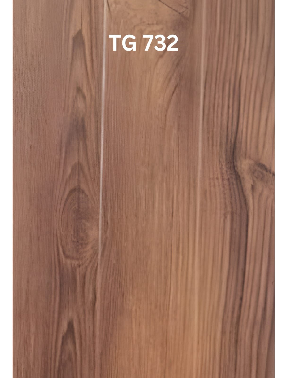 TG - 732