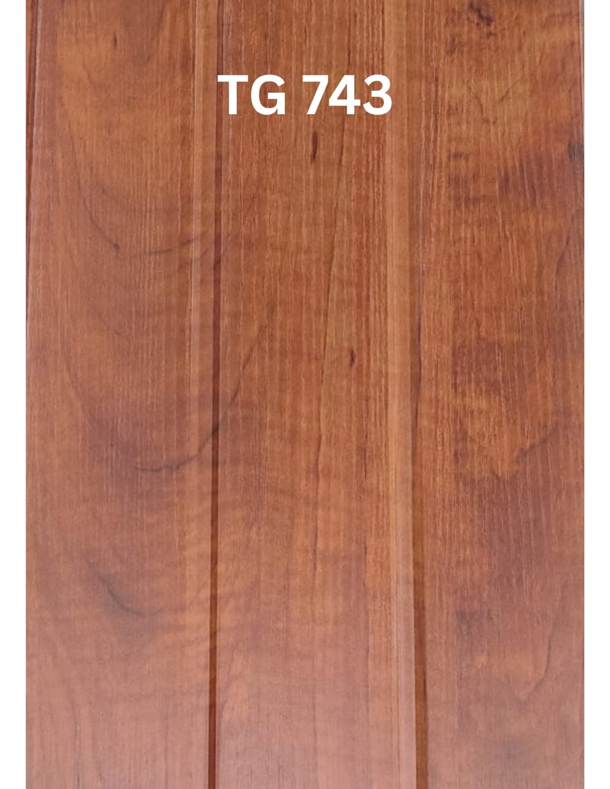 TG - 743
