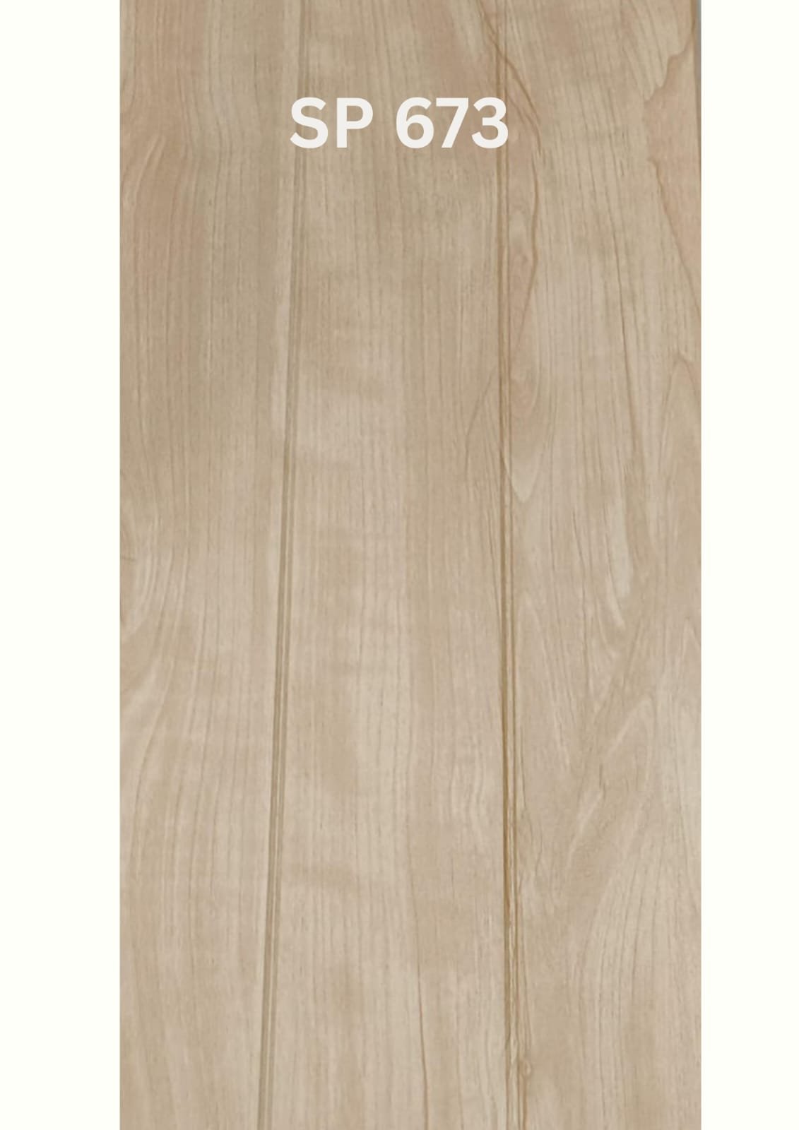 SP - 673