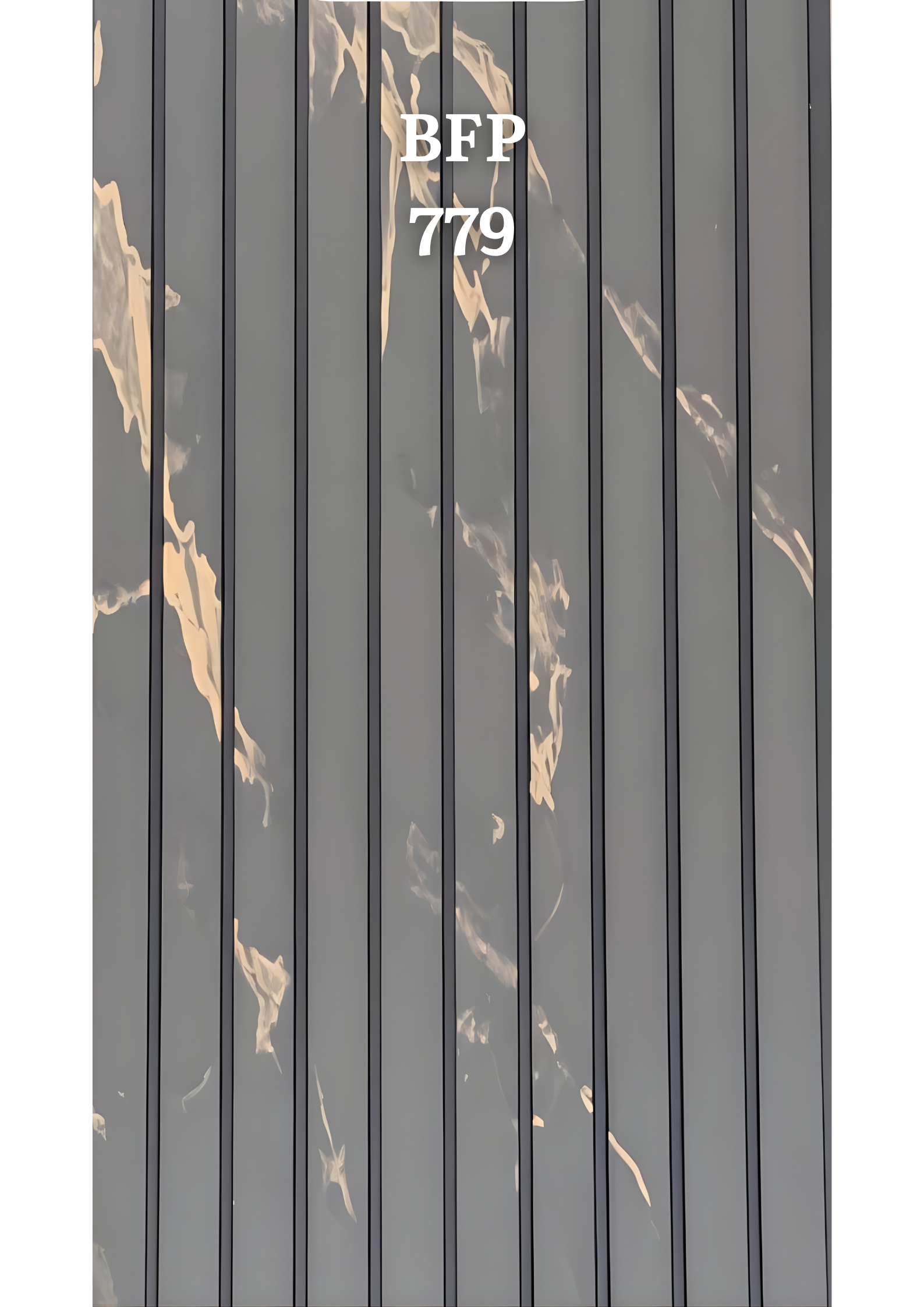 BFP-779