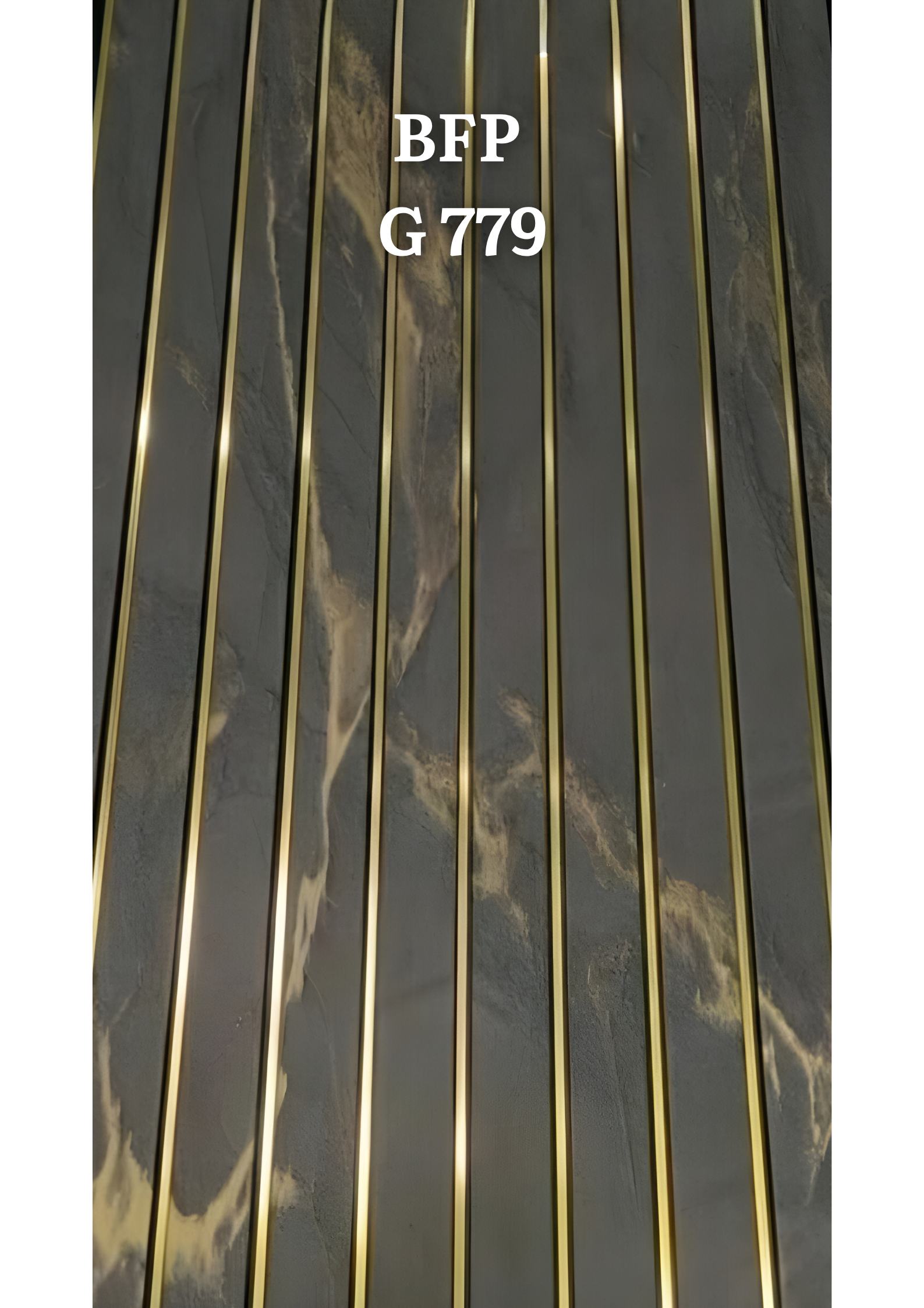 BFPG-779