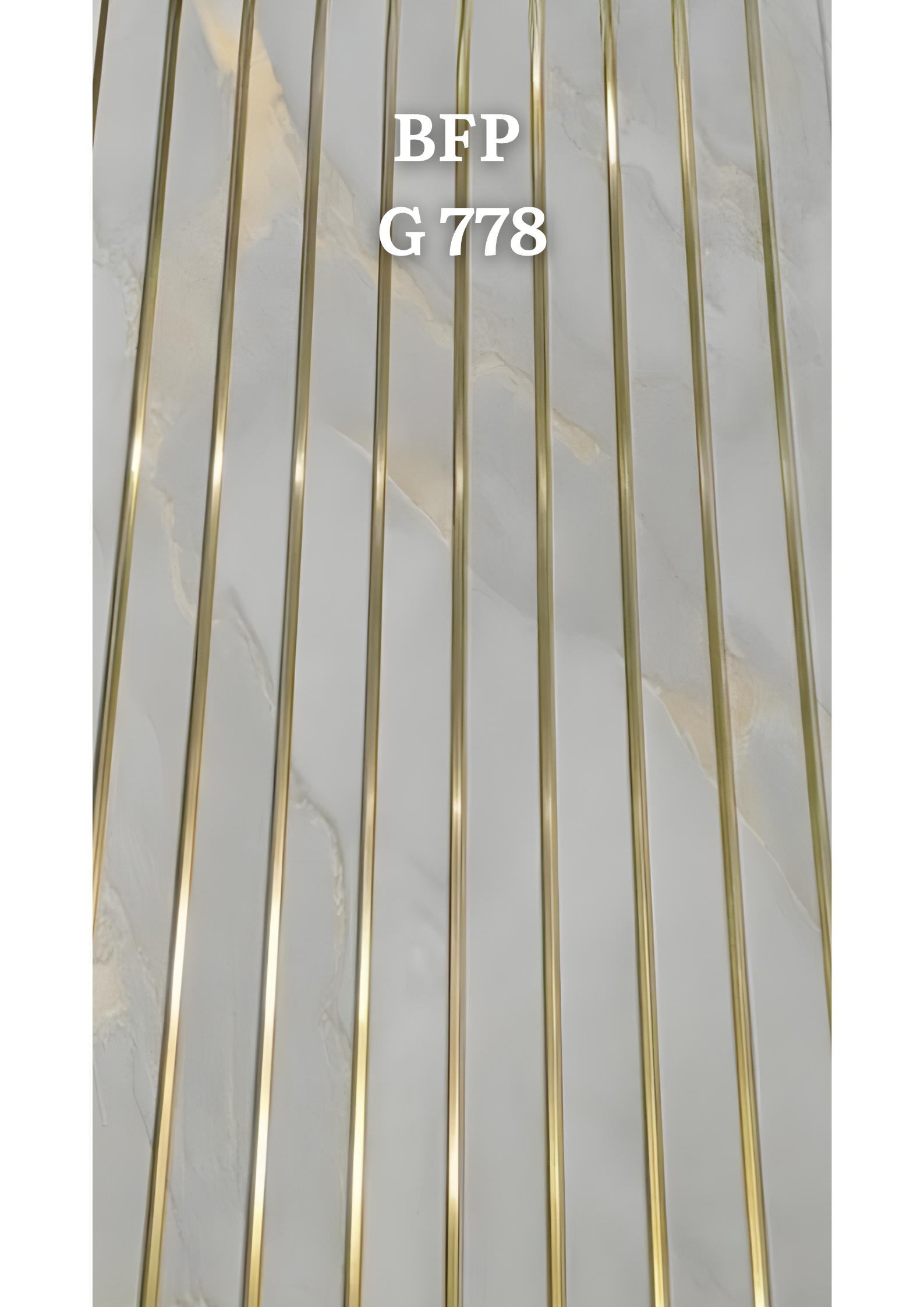 BFPG-778